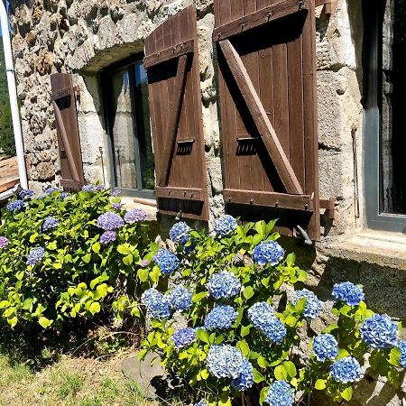 Gite Des Sausses Dans Une Nature Preservee Burzet Экстерьер фото