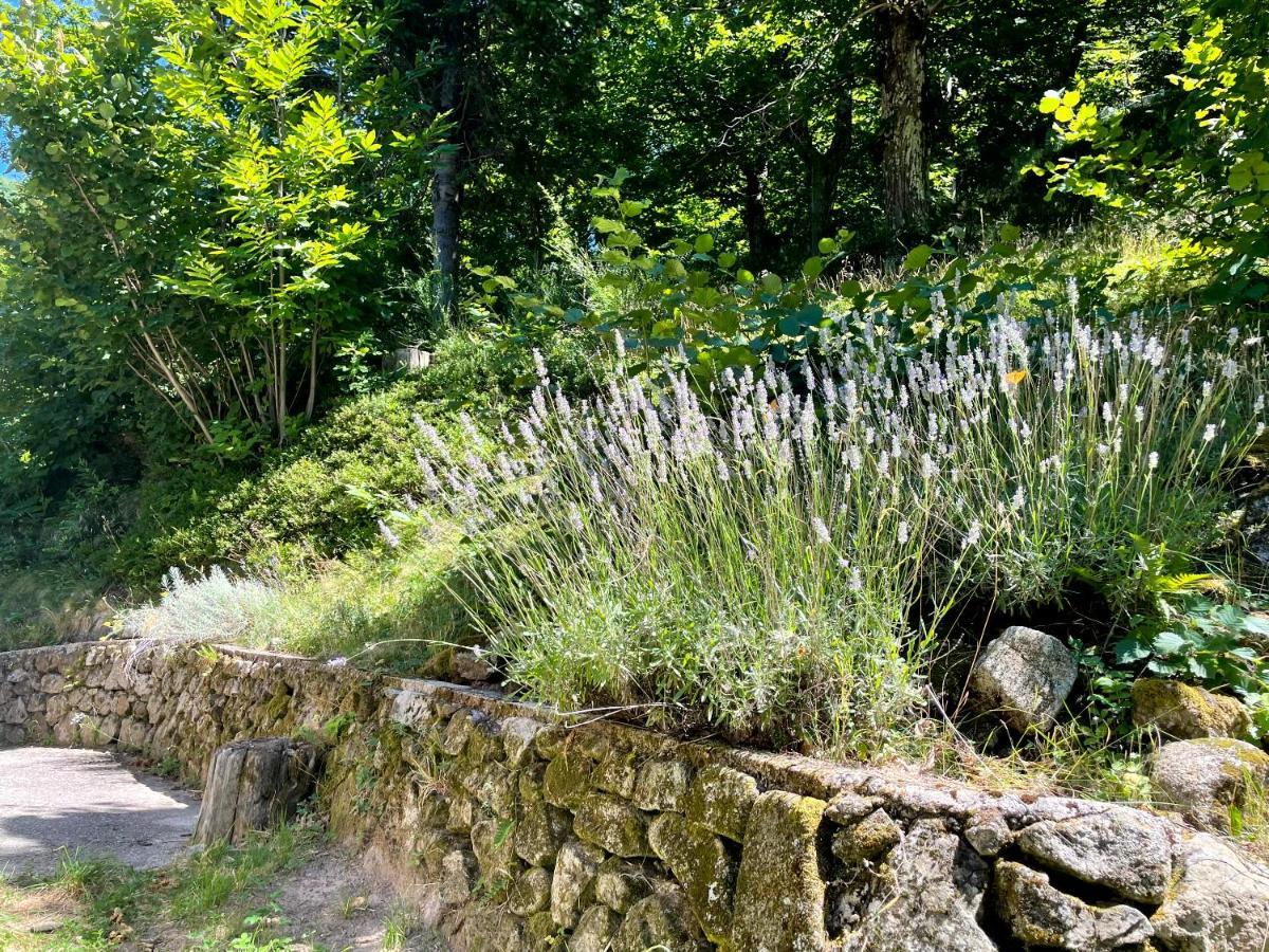 Gite Des Sausses Dans Une Nature Preservee Burzet Экстерьер фото