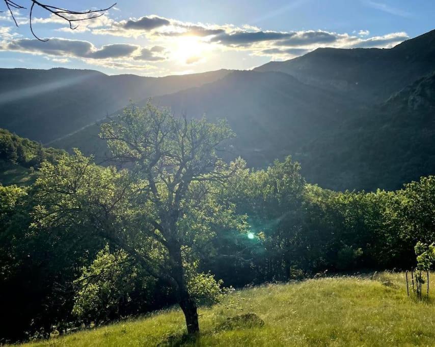 Gite Des Sausses Dans Une Nature Preservee Burzet Экстерьер фото